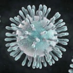 Dr. López de Calatayud | Coronavirus y prevención